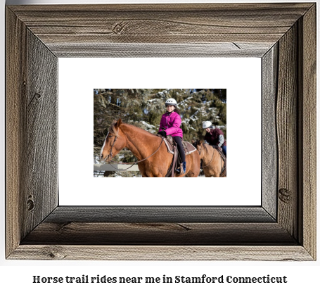 horse trail rides near me in Stamford, Connecticut